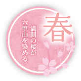 春-満開の桜が六甲山を染める