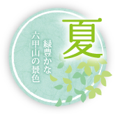 夏-緑豊かな六甲山の景色