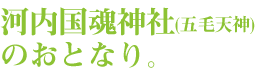 毎月第4日曜日にはのみの市が開催。